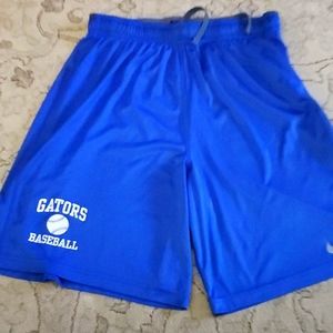 FLORIDA Gators Baseball Nike ⚾️ Shorts